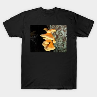 Chicken of the woods mushrooms T-Shirt